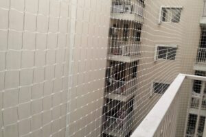 WhatsApp Image 2025-11-08 at 09.54.05 WhatsApp Image 2025-11-08 at 09.54.05